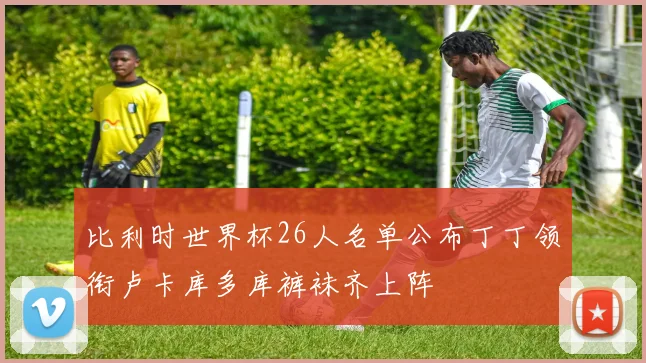 比利时世界杯26人名单公布丁丁领衔卢卡库多库裤袜齐上阵