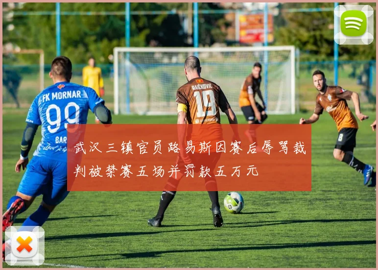 武汉三镇官员路易斯因赛后辱骂裁判被禁赛五场并罚款五万元