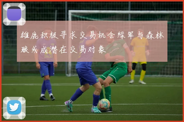 雄鹿积极寻求交易机会绿军与森林狼或成潜在交易对象
