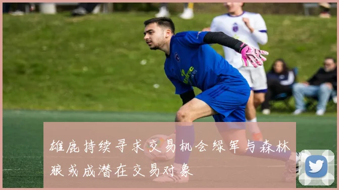 雄鹿持续寻求交易机会绿军与森林狼或成潜在交易对象
